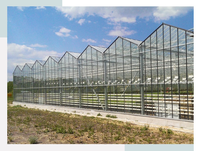 Строительство теплиц в Белебей от 612 руб. за м²